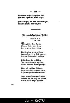 Une illustration botanique de la collection « Palmblätter » de Gerok, présentant des structures de feuilles de palmier avec des détails précis à des fins éducatives et artistiques. Banque D'Images