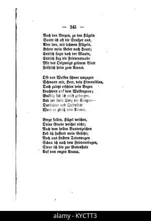 Une illustration botanique supplémentaire de la série 'Palmblätter' de Gerok, représentant des feuilles de palmier avec une représentation naturaliste détaillée et une précision scientifique. Banque D'Images