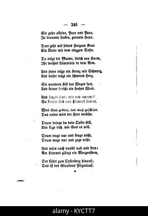 Une plaque botanique scientifique intitulée Palmblätter (Gerok) 248, montrant les structures des feuilles de palmier dans les moindres détails, créée pour référence pédagogique et taxonomique. Banque D'Images