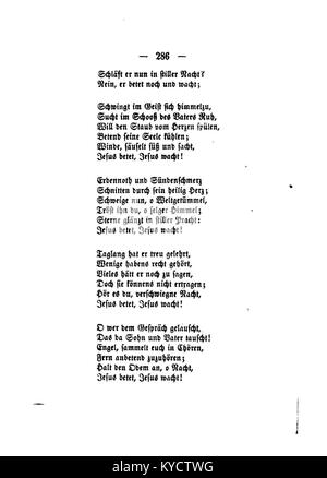 Une illustration botanique de la série 'Palmblätter' de Gerok, représentant des feuilles de palmier avec une attention particulière à leur structure et texture pour référence botanique et étude. Banque D'Images