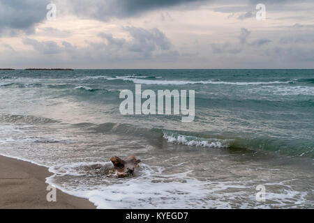 La mer en hiver, San Rossore, Pise, Toscane, Italie Banque D'Images