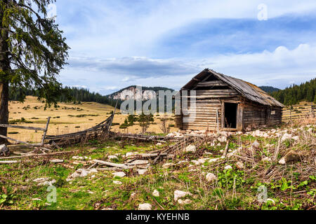 Maisons abandonnées sheperd dans les montagnes au printemps dans les Carpates. Banque D'Images