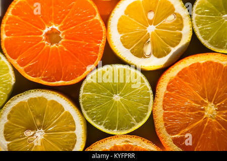 Tranches d'oranges, citrons, limes et mandarines Banque D'Images