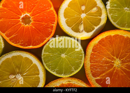 Tranches d'oranges, citrons, limes et mandarines Banque D'Images