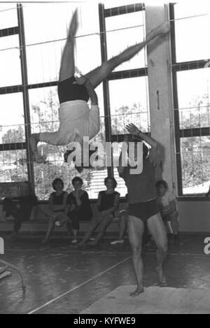Gnes Keleti était une gymnaste hongroise célébrée dans les années 1960 pour ses réalisations olympiques et au Championnat du monde, reconnue pour ses compétences techniques et ses contributions à la gymnastique. Banque D'Images