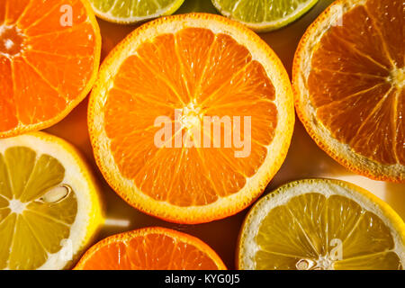 Tranches d'oranges, citrons, limes et mandarines Banque D'Images