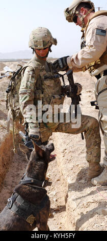 Le Sgt. Charles Nelson [gauche], un homme de 27 ans de travail ...