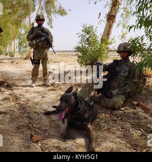 Le Sgt. Charles Nelson [gauche], un homme de 27 ans de travail ...