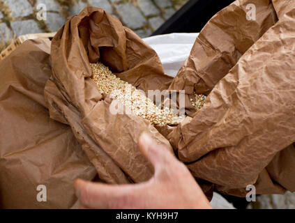 Sacs pleins avec pois chiches, Haricots, Sarrasin, millet, blé, orthographié, lentilles, petit épeautre grains du blé. Variété de fèves, grains et graines sur un agriculteurs Banque D'Images