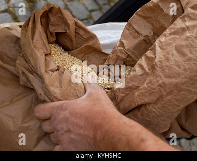 Sacs pleins avec pois chiches, Haricots, Sarrasin, millet, blé, orthographié, lentilles, petit épeautre grains du blé. Variété de fèves, grains et graines sur un agriculteurs Banque D'Images