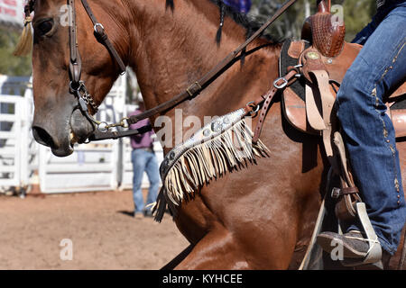 HORSE SPORTS, course de barils, rodéos Banque D'Images