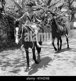 Enfant avec des chevaux, Vinales Pinar del Rio, Cuba Banque D'Images