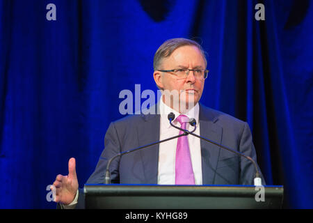 Anthony Albanese lors d'une conférence d'affaires à Melbourne. Banque D'Images