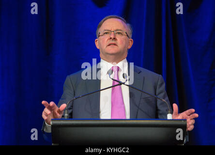 Anthony Albanese lors d'une conférence d'affaires à Melbourne. Banque D'Images