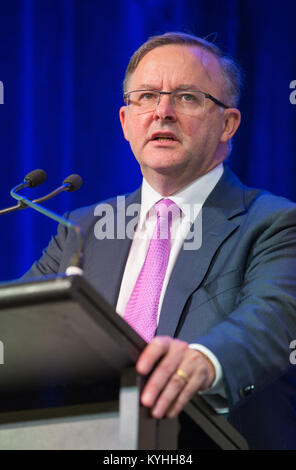 Anthony Albanese lors d'une conférence d'affaires à Melbourne. Banque D'Images