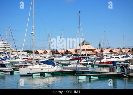 Avis de yachts dans la marina avec des bâtiments à l'arrière, Vilamoura, Algarve, Portugal, Europe. Banque D'Images