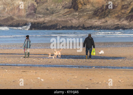 Promenade de chiens à Cornwall - Dog Walkers sur la plage de Polzeath sur la côte nord des Cornouailles. Banque D'Images