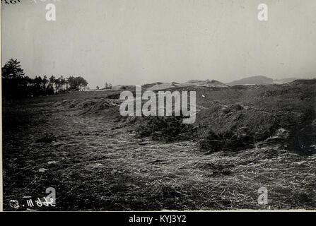 Cette photographie montre des tombes de soldats et des positions de tranchées dans une parcelle forestière à l'ouest de Strzegowa, en Pologne. L'image reflète l'impact de la première Guerre mondiale sur la région, mettant en évidence la présence de sépultures militaires et de structures défensives. Banque D'Images