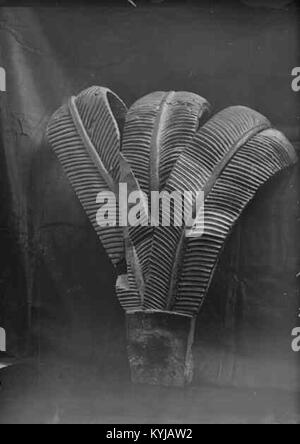 Storkyrkan (église Sankt Nicolai) à Stockholm est une cathédrale historique connue pour son architecture traditionnelle et son importance religieuse. Banque D'Images