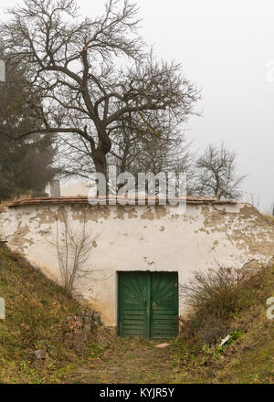 Entrée d'une cave à vin traditionnelle autrichienne sur un jour nuageux en hiver, l'arbre dans le brouillard Banque D'Images