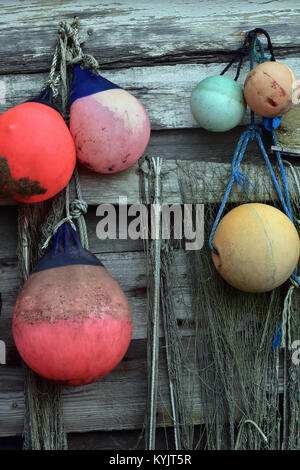 Une sélection de flotteurs de pêche en plastique coloré accroché sur le côté d'un vieux style shabby chic en bois des pêcheurs côtiers hangar ou beach hut. peeling. Banque D'Images