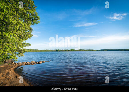 Plage par une grande forêt lac dans l'été avec l'eau et le ciel bleu foncé Banque D'Images