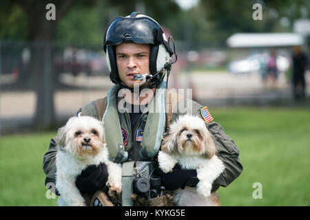 VIDOR, Texas (Aug. 31, 2017) Aircrewman Naval (hélicoptère) 2e classe Jansen,Schamp de Denver, affecté à l'hélicoptère Dragon de mer Les baleines de l'Escadron de Combat (HSC), 28 secours à deux chiens en forêt de pins l'école élémentaire, un abri qui devaient être évacués après que les eaux de crue de l'ouragan Harvey atteint ses motifs. La mission a abouti à la rescousse de sept adultes, sept enfants et quatre chiens. La flotte américaine a envoyé des forces humaines et physiques pour renforcer le soutien du Commandement du Nord de l'aide de la FEMA au gouvernement fédéral, de l'état et les autorités locales aux efforts de secours en cours à la suite d'Hurr Banque D'Images