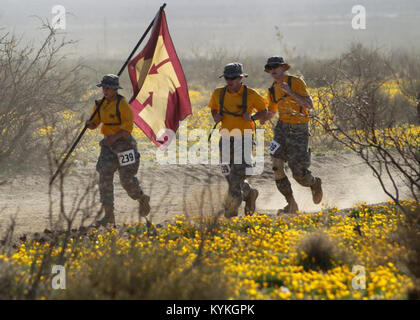 Les Cadets de l'Université du Minnesota à travers le sable comme ils participent à la 23e marche de la mort de Bataan Memorial au White Sands Missile Range à Las Cruces, Nouveau Mexique. Crédit photo : Photo de John Wayne Liston Banque D'Images