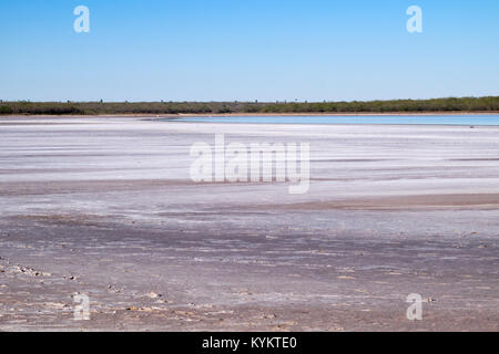 Les dépôts de sel, thornscrub et cactus entourant La Sal del Rey en comté de Hidalgo, Texas, USA. Le lac était la principale source de sel pour indigineous Banque D'Images