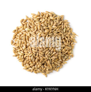 Vue de dessus des grains d'orge isolated on white Banque D'Images