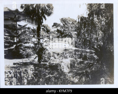 Cette image présente les magnifiques jardins du 10 Austinmer, situé dans la région d'Illawarra en Nouvelle-Galles du Sud. La photographie met en valeur la verdure luxuriante et le paysage soigneusement conçu de la propriété, capturant son charme esthétique. Banque D'Images