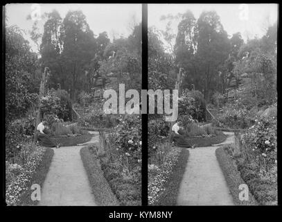 Vues de Rotorua, Nouvelle-Zélande et Sydney, Australie, c1900, par 36938849360 o Banque D'Images