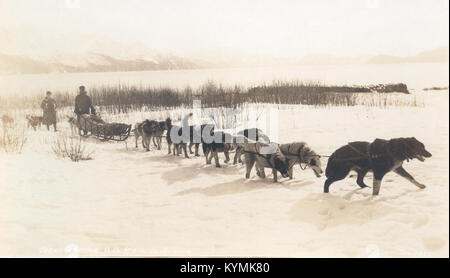 Une photographie historique montrant le transport du courrier américain en Alaska vers 1910, montrant une équipe de traîneaux à chiens dans la neige, livrant le courrier à travers la nature sauvage de l'Alaska. Banque D'Images