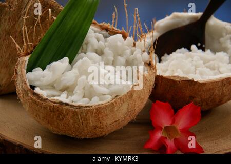 Kelapa Kopyor, le genre de rares fruits de noix de coco noix de coco qui donne une délicatesse traditionnelle ; pâte à Java Banque D'Images