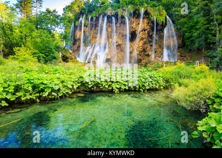 Close up of blue cascades dans une forêt verte pendant la journée en été.Les lacs de Plitvice, Croatie Banque D'Images