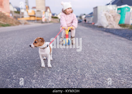 Une petite fille qui marche chiot Jack Russell Terrier Banque D'Images