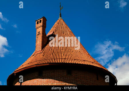 Toit de la tour du château de Trakai près de Vilnius Banque D'Images