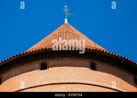 Toit de la tour du château de Trakai près de Vilnius Banque D'Images