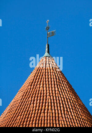 Toit de la tour du château de Trakai près de Vilnius Banque D'Images