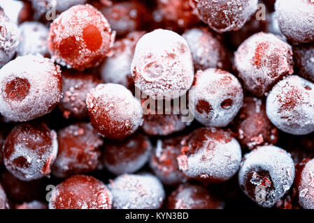 Tas de cerises sauvages rouge congelée avec mouchetures de glace lorsque les fruits pris hors du congélateur. Des couleurs vibrantes de cerise mûre avec le gel cov Banque D'Images