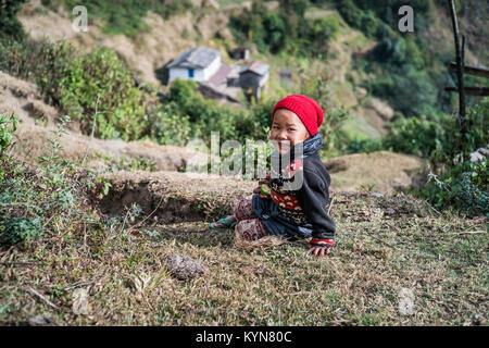 Portrait de la jeune fille dans le domaine, près de du village Tolka, Népal, Asie. Camp de base de l'Annapurna trek. Banque D'Images