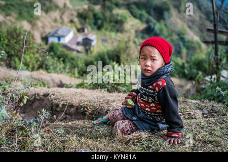 Portrait de la jeune fille dans le domaine, près de du village Tolka, Népal, Asie. Camp de base de l'Annapurna trek. Banque D'Images