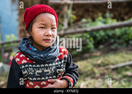 Portrait de la jeune fille dans le domaine, près de du village Tolka, Népal, Asie. Camp de base de l'Annapurna trek. Banque D'Images