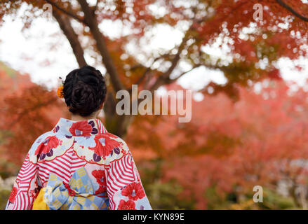 Licence et tirages sur MaximImages.com - dos d'une femme japonaise portant un kimono yukata coloré dans de beaux paysages rouges d'automne à Kyoto, Banque D'Images