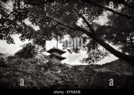 Pagode Sanjunoto tour de temple Kiyomizu-dera temple bouddhiste dans de beaux paysages vus de derrière, les érables japonais. Noir et blanc, sépia. Higa Banque D'Images