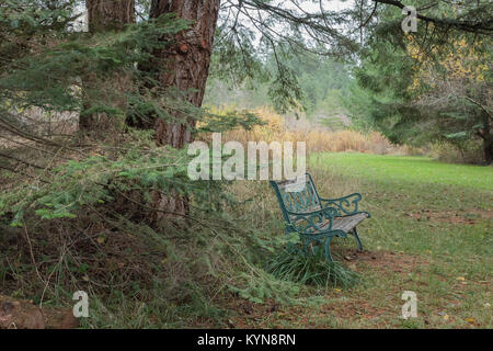 Un banc de jardin en bois et fer se situe sous le couvert de deux sapins en automne, avec une pelouse, envahie par des herbes, des champs et des forêts au-delà. Banque D'Images