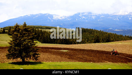 Paysage panoramique en haute montagne bulgare terres cultivées Banque D'Images
