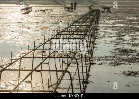 Deux hommes parlant à côté des parcs à huîtres à marée basse à Whitstable, Kent, Angleterre, Royaume-Uni. Banque D'Images