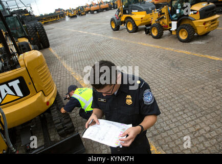 Les spécialistes de l'inspection agricole du port de Baltimore inspectent les marchandises importées pour prévenir l'introduction de ravageurs envahissants et de maladies des plantes. Banque D'Images