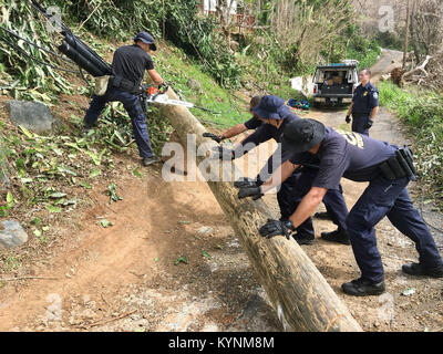 Les agents du CBP aident à nettoyer les débris et fournissent une aide humanitaire aux îles Vierges américaines après l'impact dévastateur de l'ouragan Maria. Banque D'Images